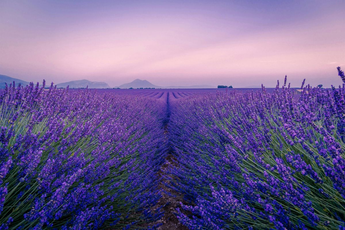 Aromatherapie: natürliche Hilfe zur Entspannung, 4 November | Event in Waldbröl | AllEvents
