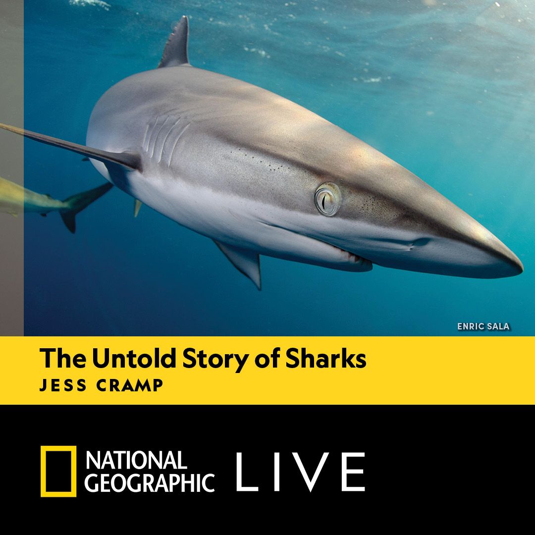 National Geographic Live: Untold Story of Sharks With Jess Cramp, 28 February | Event in Wilkes Barre | AllEvents