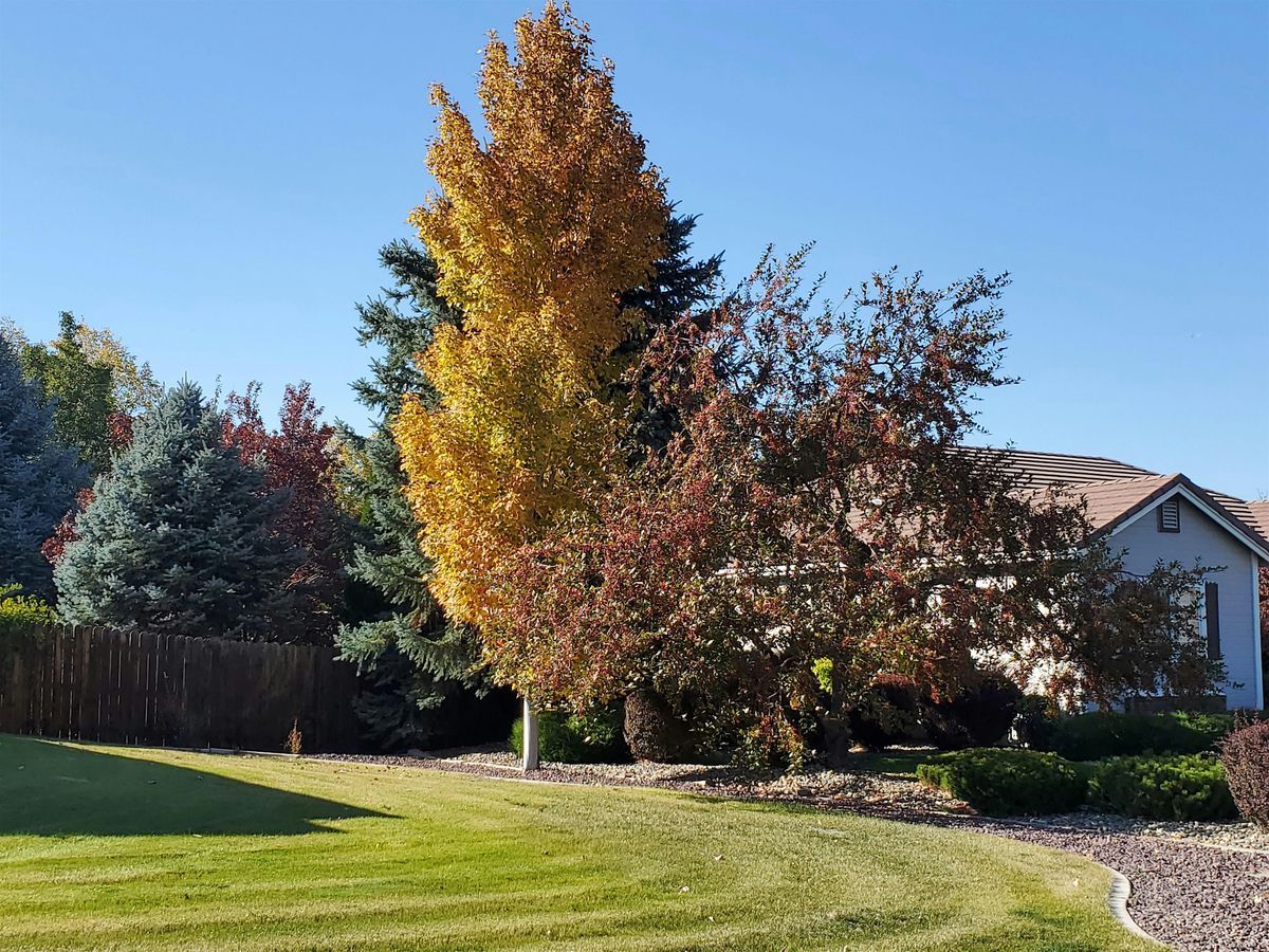 Landscapes Without Thirst: Irrigation Improvements for Trees and Xeriscapes, 31 July | Event in Reno | AllEvents