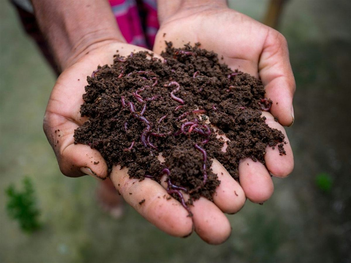 Composting & Vermicomposting, 19 July | Event in Cleveland | AllEvents