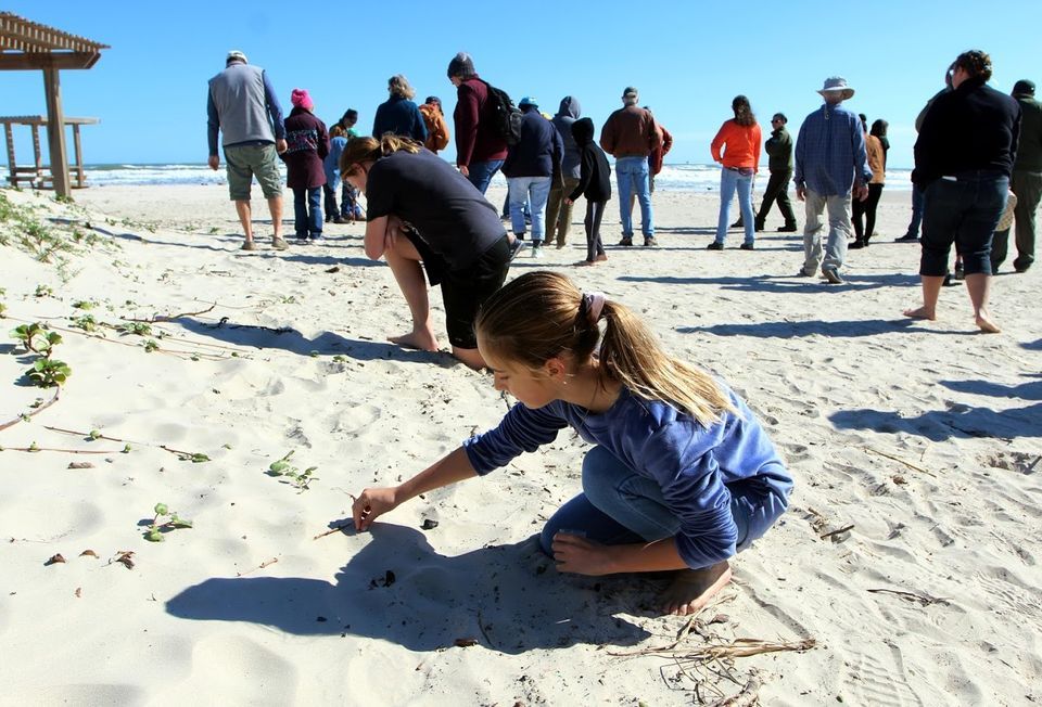 Adopt a Beach! Volunteer for the day to get the beach cleaned. Free park entry for volunteers