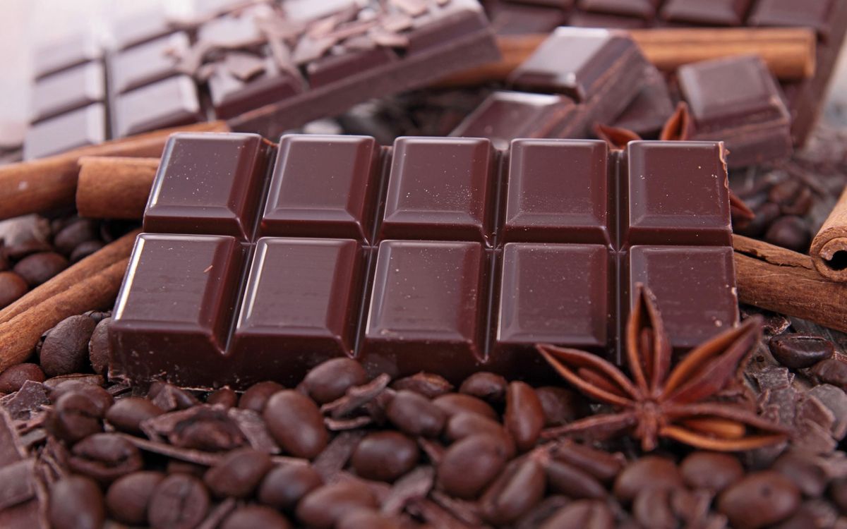 Spring Green Community Librarys Chocolate Lab A Chocolate