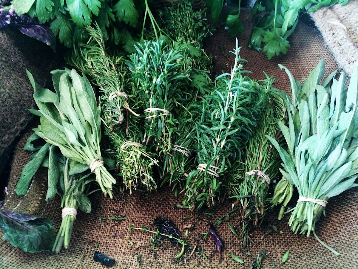 Herb Container Gardening Workshop, 16 May | Event in Orlando | AllEvents