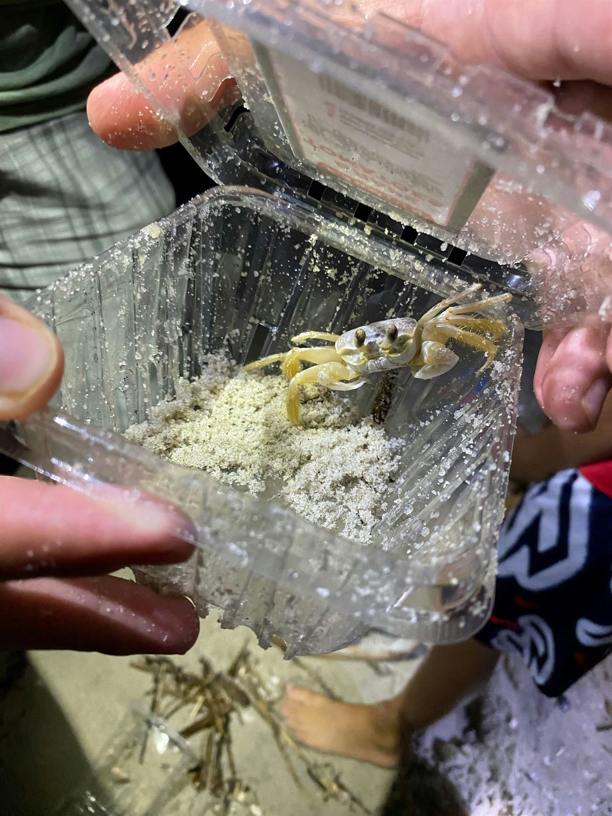 Nighttime on the Beach, 26 June | Event in Cape May | AllEvents