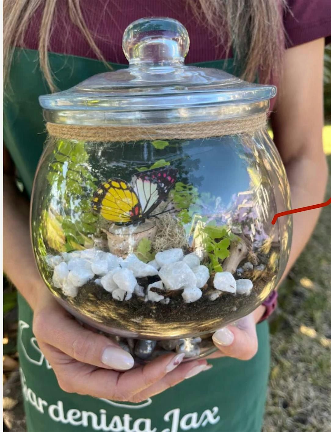 Build your own ecosystem, 10 August | Event in Jacksonville Beach | AllEvents