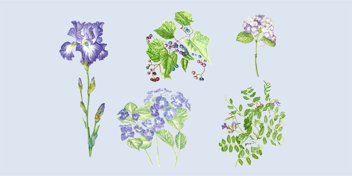 SKETCH Cape Cod, A Coastal Nature Journaling Two-Day Workshop, 14 July | Event in Osterville | AllEvents
