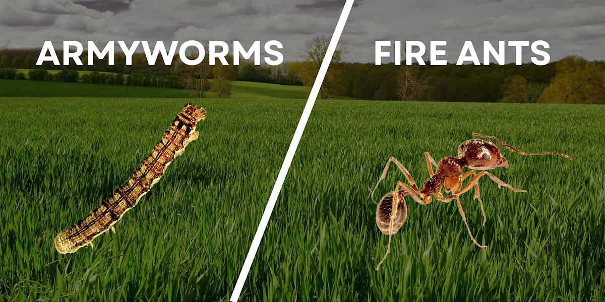 Armyworm & Fire Ant Workshop, 17 June | Event in Pittsboro | AllEvents