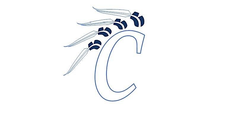 Clearwater Booster Club BBQ & Auction, 23 August | Event in Viola | AllEvents