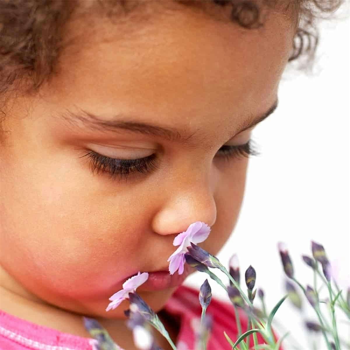 Exploring your Senses (smell), 25 November | Event in Riverdale | AllEvents