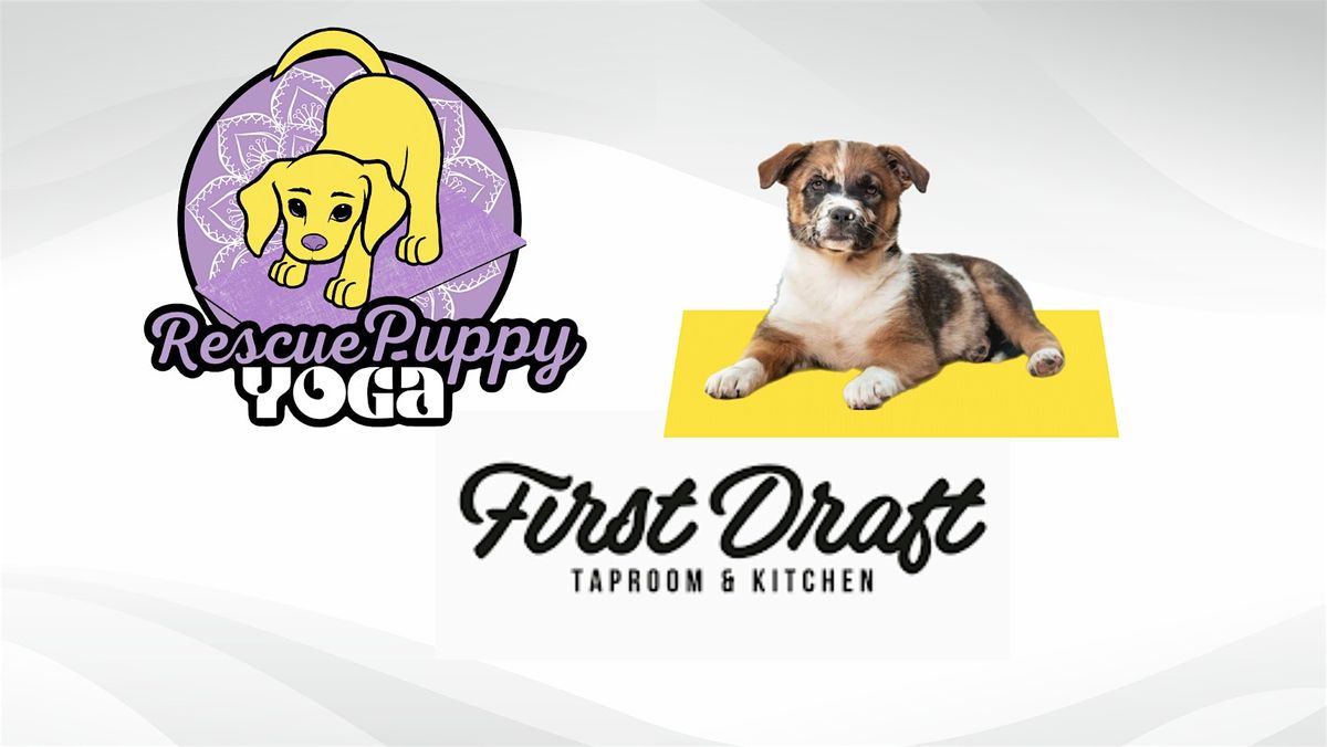 Rescue Puppy Yoga - First Draft Denver, 12 July | Event in Denver | AllEvents
