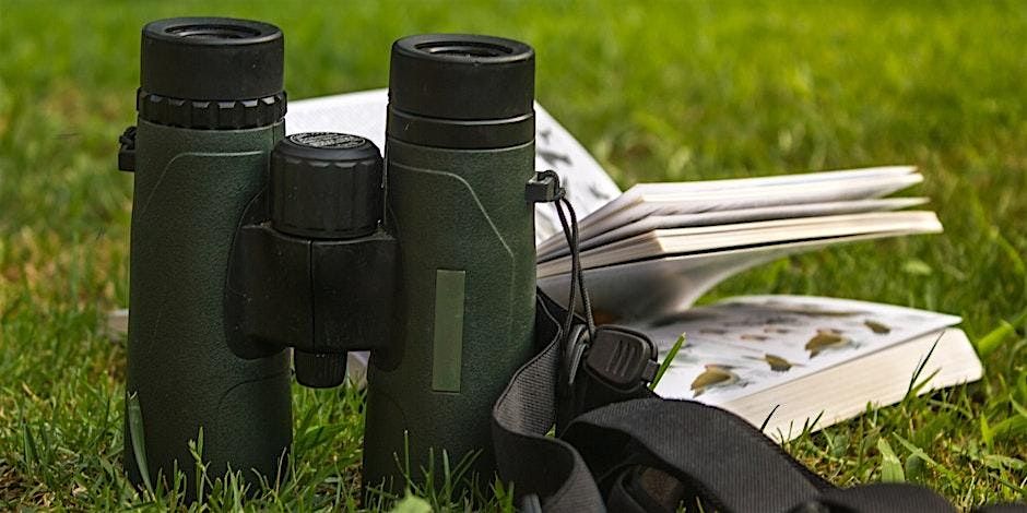 Bird Walk, 13 October | Event in Devon | AllEvents
