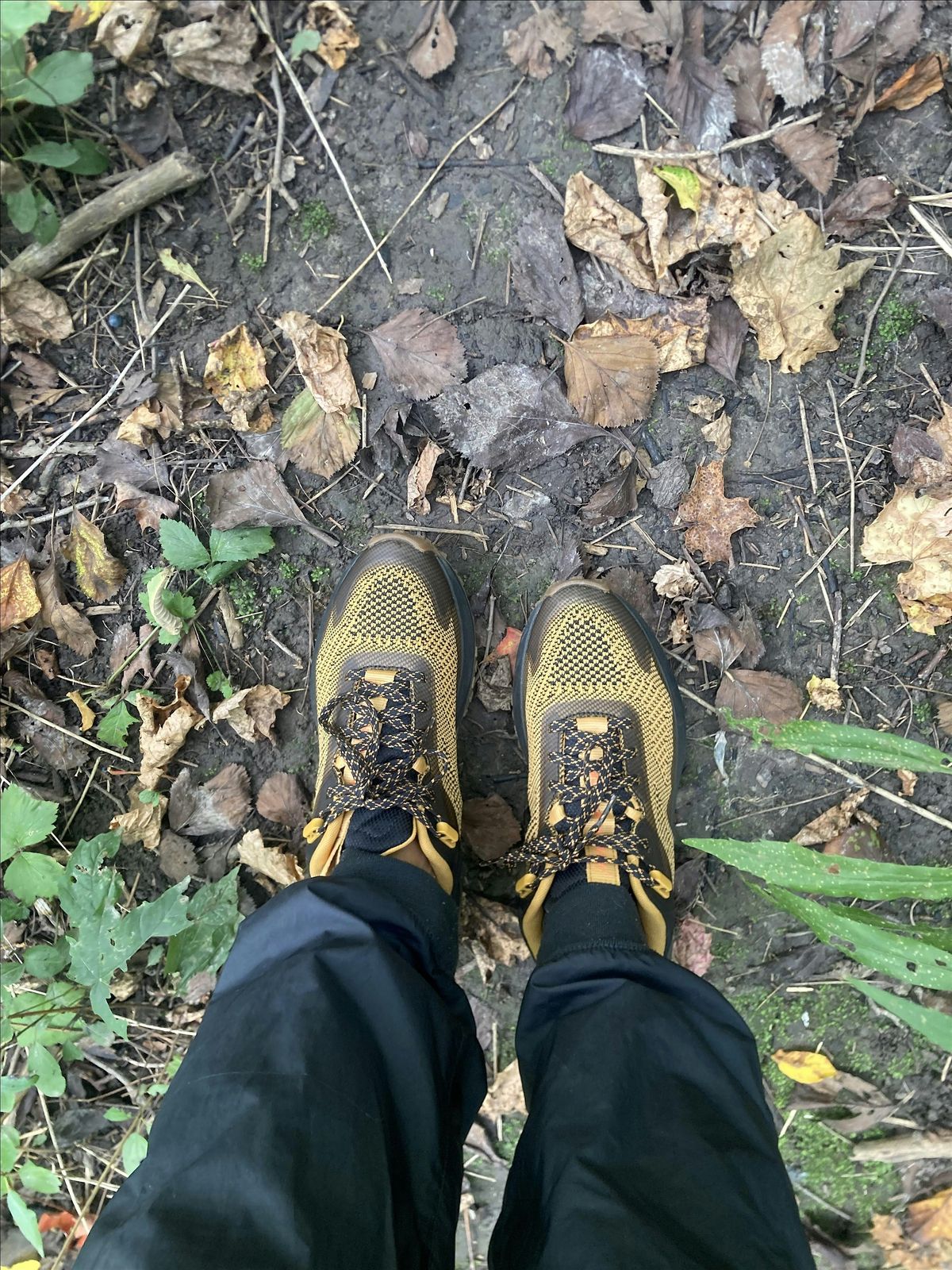 Black Canadian Hikers: Rattlesnake Point Hike (#4), 30 November | Event in Milton | AllEvents