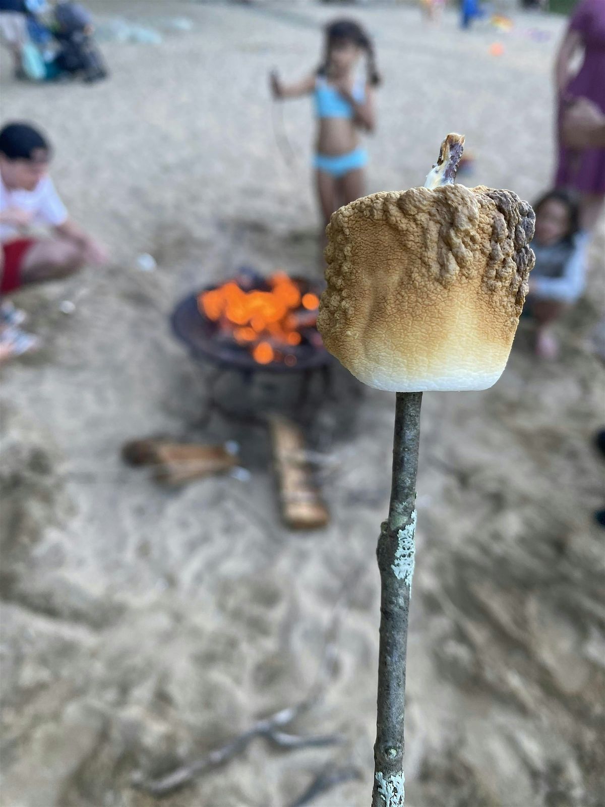 Summer Solstice Swim & S'mores, 18 June | Event in Westwood | AllEvents