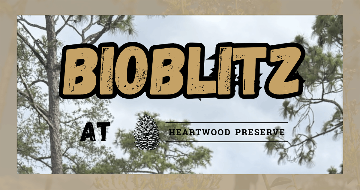 BioBlitz at Heartwood Preserve, 15 November | Event in New Port Richey | AllEvents