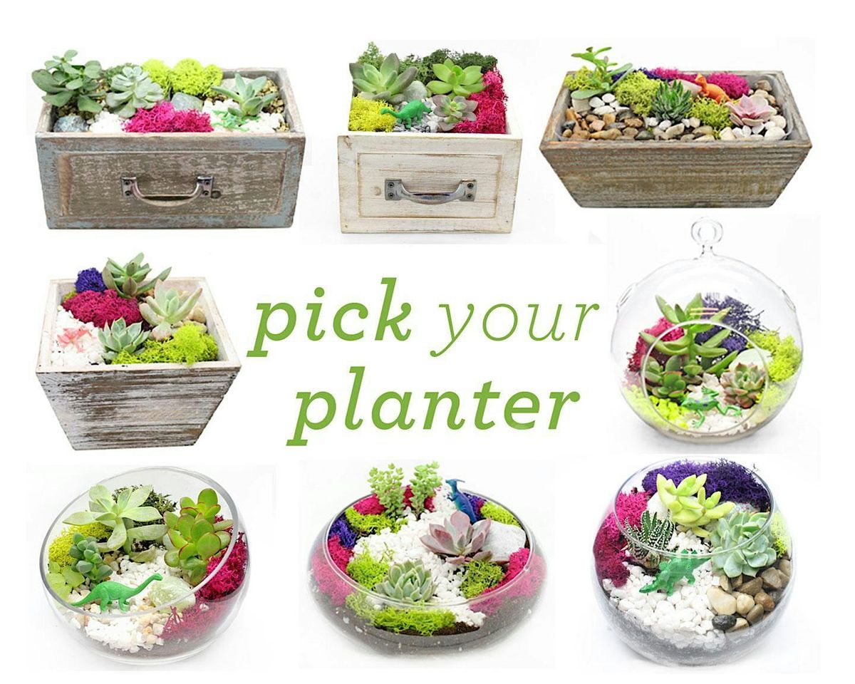 Family Plant Party: Make a Succulent Terrarium, 30 July | Event in Mississauga | AllEvents
