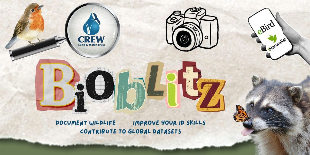 September Bioblitz, 12 September | Event in Naples | AllEvents