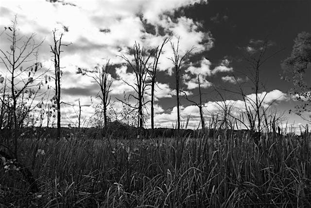 Spooky Stories Creative Writing – Inaugural Workshop, 9 October | Event in Ann Arbor | AllEvents