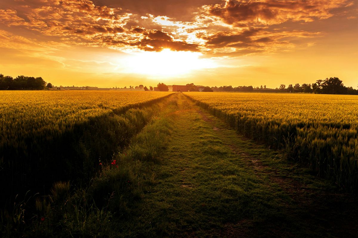 From Soil to Market: A Regenerative Organic Networking Event, 30 September | Event in Harrisburg | AllEvents
