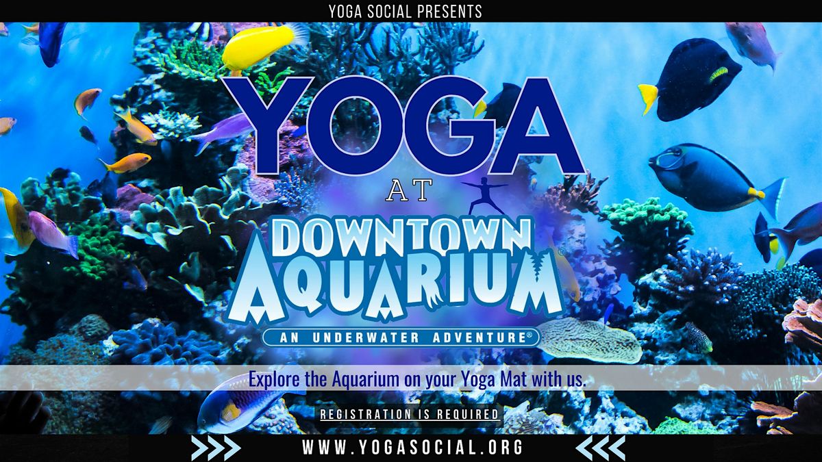 Yoga at the Downtown Aquarium in Denver with Yoga Social, 11 May | Event in Denver | AllEvents