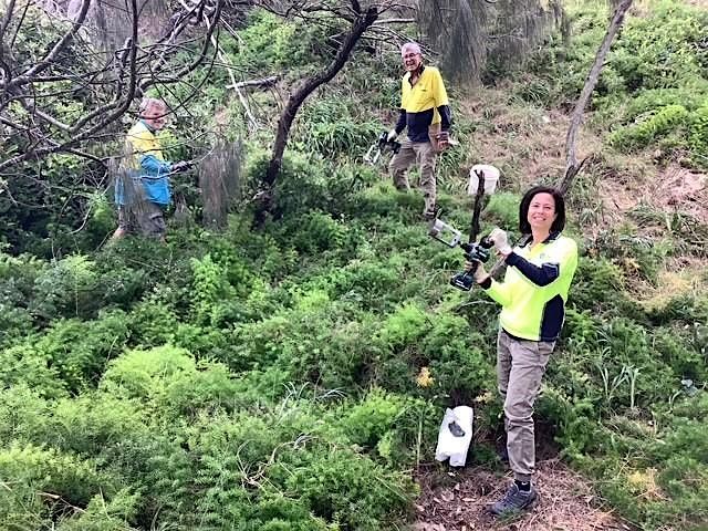 Bushcare Open Field Day, 7 June | Event in Peregian Beach | AllEvents