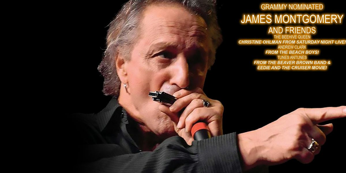 James Montgomery & Friends Back Yard BBQ!, 15 June | Event in Newport | AllEvents