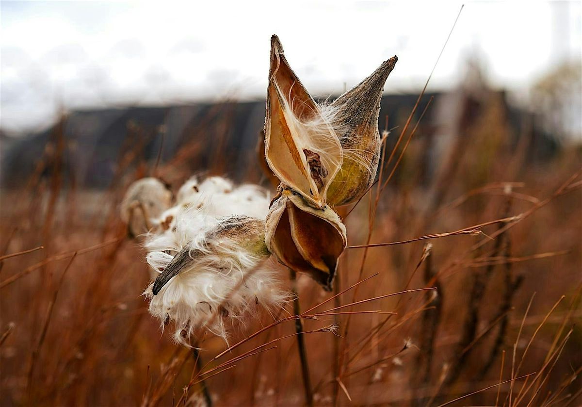 Fall Seed Collection Class, 27 September | Event in Princeton | AllEvents