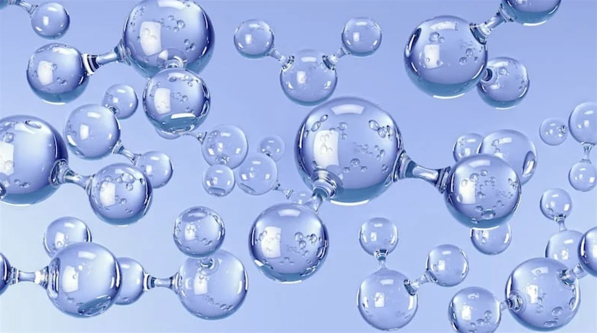 Water Education Class at Blue Zone Waters SUNDAY AUGUST 17th @ 12:00 PM, 17 August | Event in Santa Cruz | AllEvents