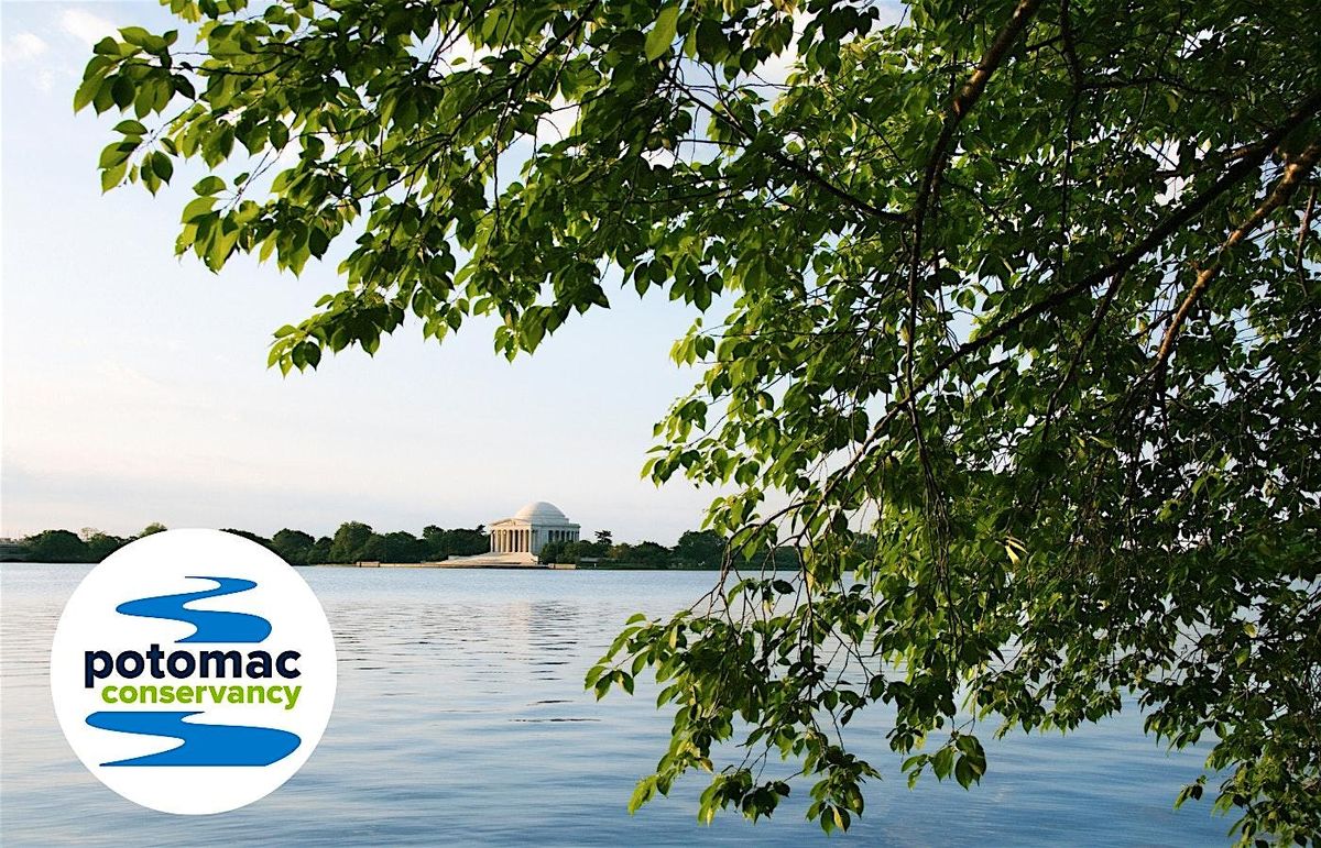 Learn about the history of swimming in the Tidal Basin, 10 July | Event in Washington | AllEvents