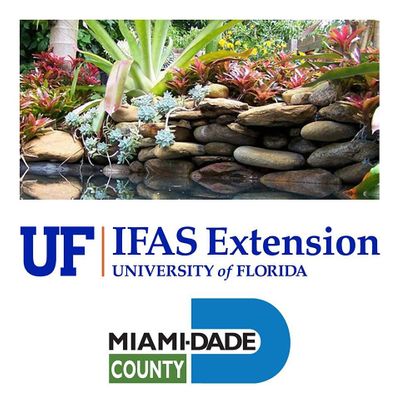 UF/IFAS Extension Service Miami-Dade County- Florida Yards and Neighborhoods Program