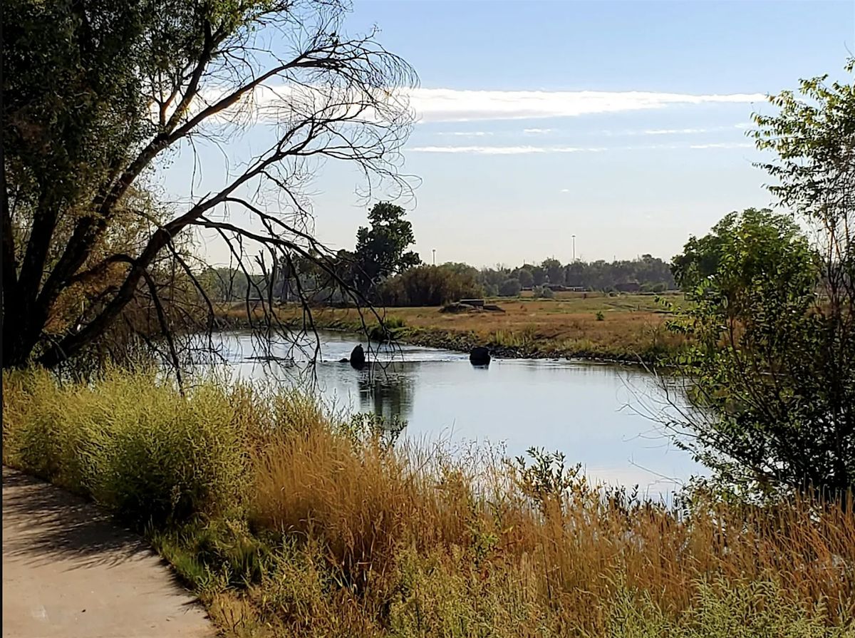 Community Clean up Event: Pelican Ponds!, 19 July | Event in Thornton | AllEvents
