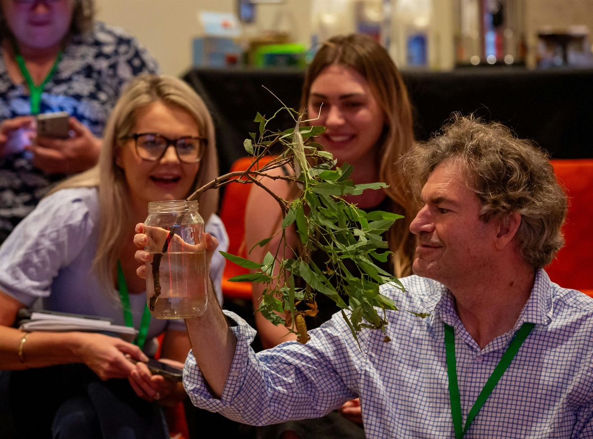CHINCHILLA: Hands -on Primary STEM with Queensland Museum — FREE Teacher PD, 4 November | Event in Chinchilla