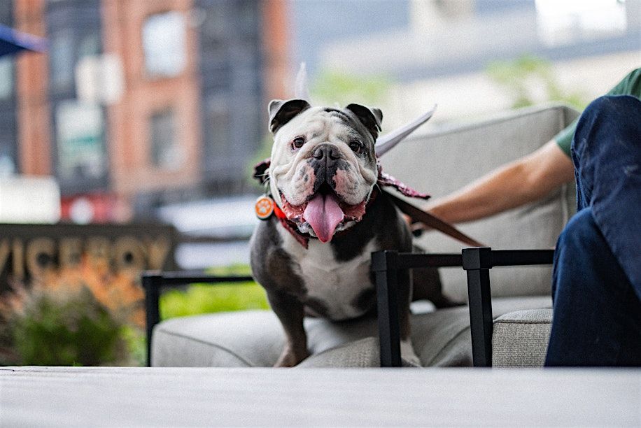Pups & Palomas, 23 August | Event in Chicago | AllEvents