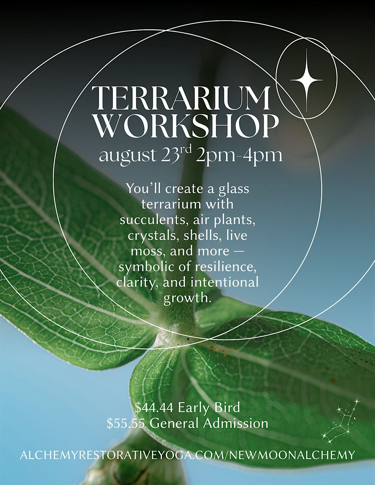 Root & Refine: Terrarium Workshop, 23 August | Event in Austin | AllEvents
