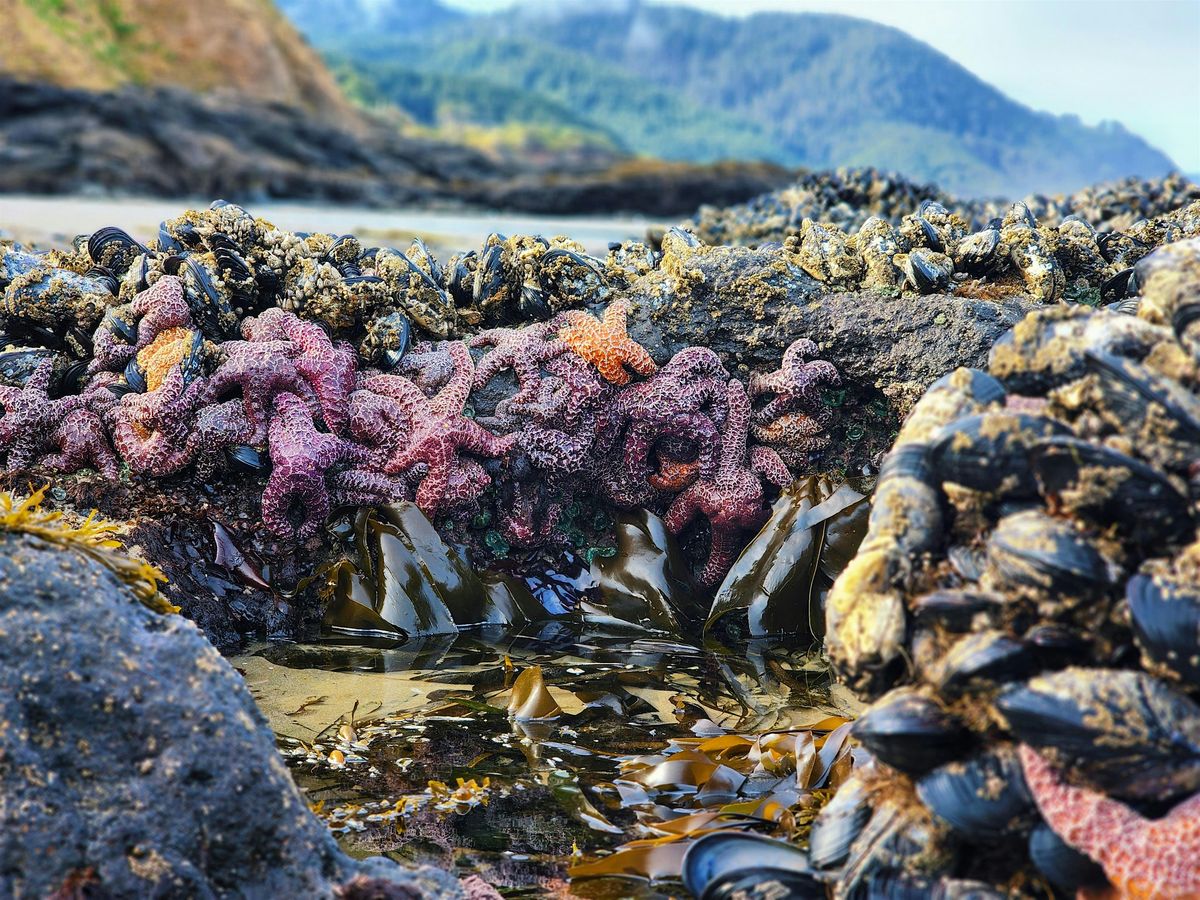 Bob Creek Tidepool Ambassador Tour, 24 July | Event in Florence | AllEvents
