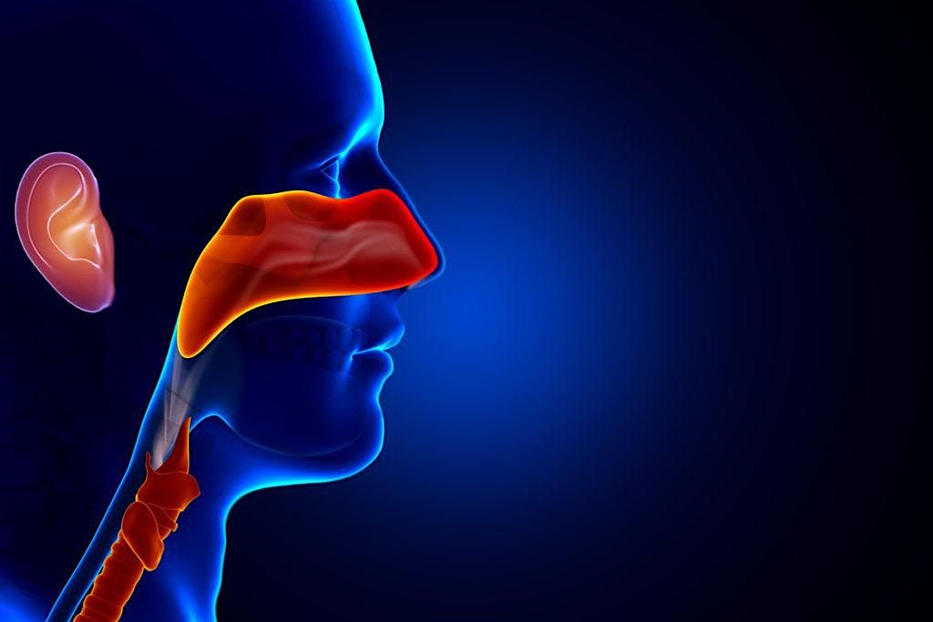 2025 Arizona Society of Otolaryngology Annual Meeting Change on the Horizon, 7 November | Event in Phoenix