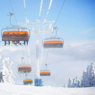 2026 MLK Jan 16-19 Okemo $459 (3 Nights + Transport) Depart QNS NYC NJ