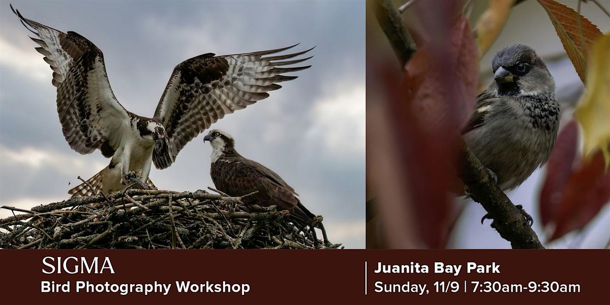 Juanita Bay Park Bird Photography Workshop w/SIGMA, 9 November | Event in Kirkland | AllEvents