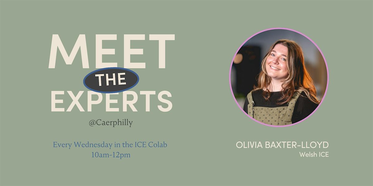 Meet the Experts: Making the Most of ICE 121's with Liv Baxter-Lloyd, 3 December | Event in Caerphilly | AllEvents
