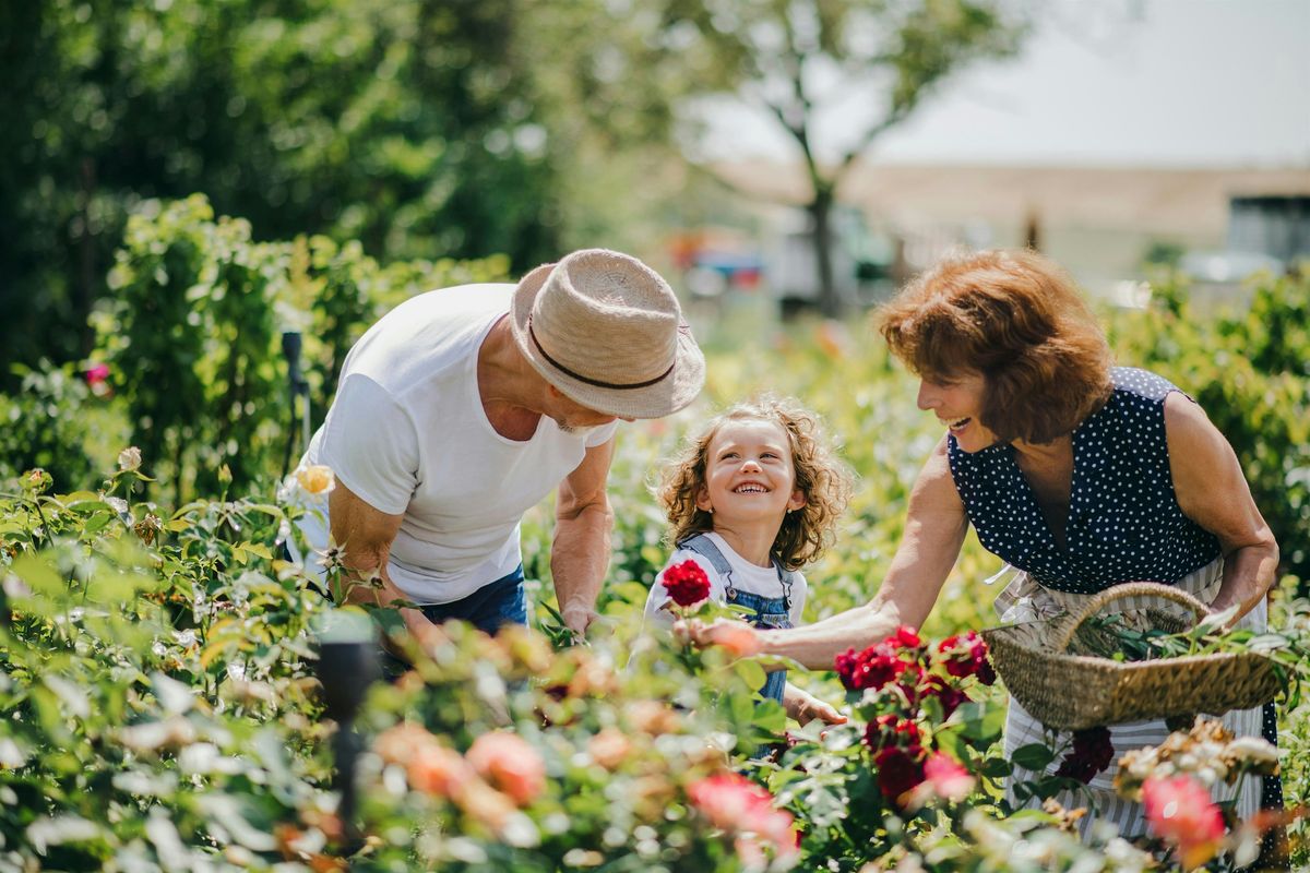 Retirement Master Class in Lone Tree, CO, 10 June | Event in Lone Tree | AllEvents