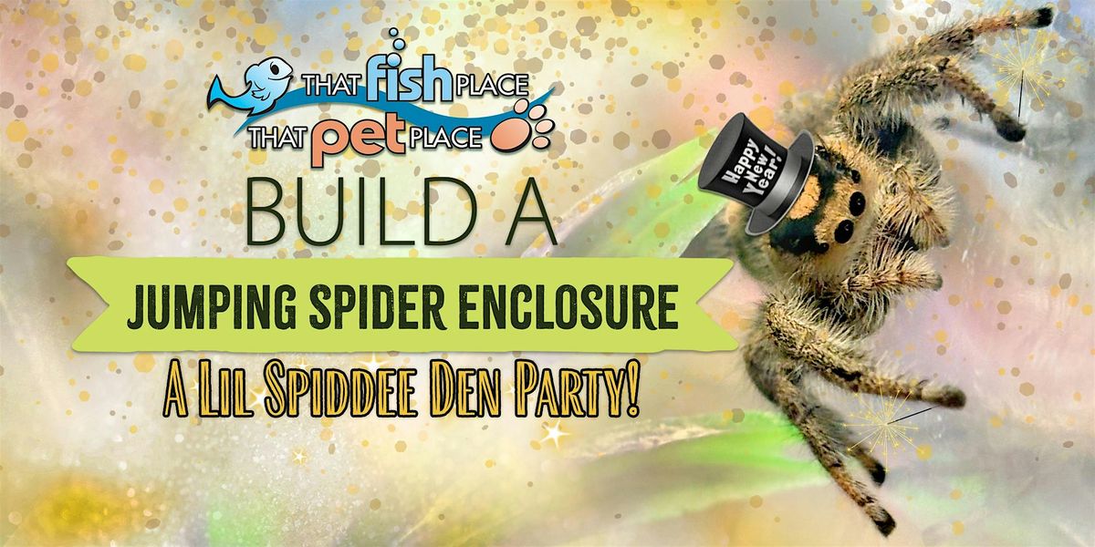 Build a Jumping Spider Enclosure- A Lil Spiddee Den Party!, 4 January | Event in Lancaster | AllEvents