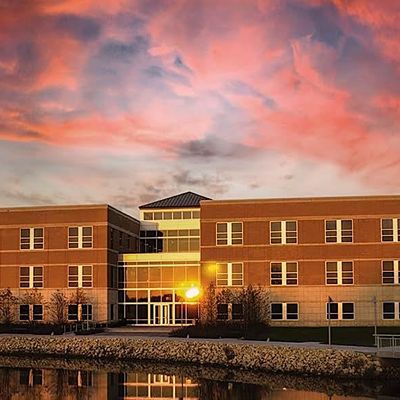 NIU College of Business logo