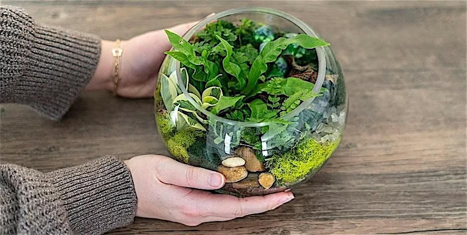 Make-n-Take : Terrariums at Mahoney's Brighton, 26 October | Event in Boston | AllEvents