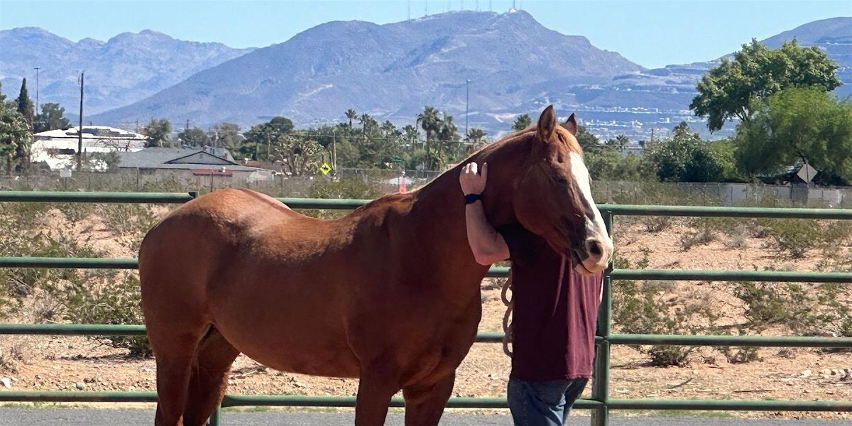 The STABLE Series: Equine Therapy Exercises & Arena EMDR, 13 September | Event in Las Vegas | AllEvents