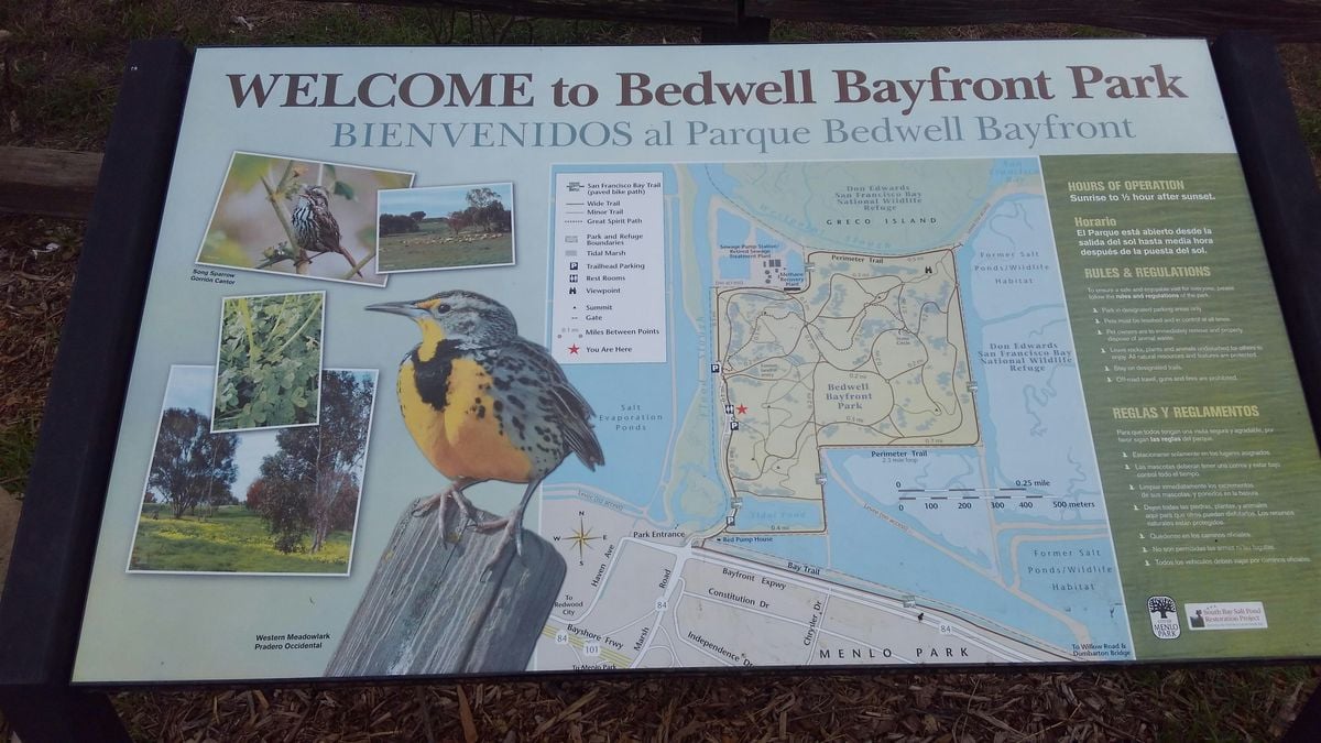 TGIF at Bedwell Bayfront Park, 15 August | Event in Menlo Park | AllEvents