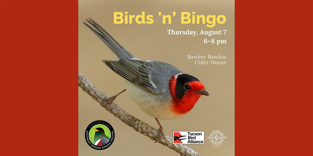 Bird n Bingo, 7 August | Event in Tucson | AllEvents