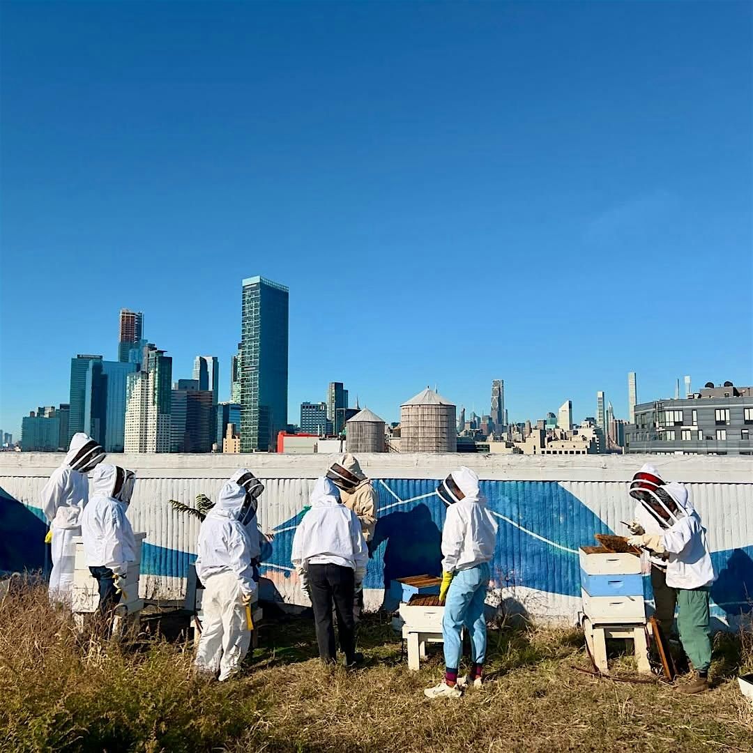 Meet the Bees Hive Tour - Queens, 5 October | Event in Queens | AllEvents