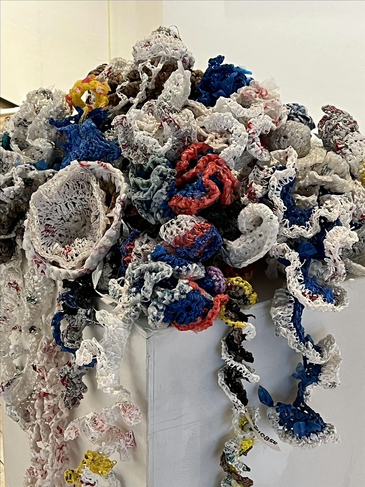 Crochet Coral Club, 24 August | Event in Oak Park | AllEvents