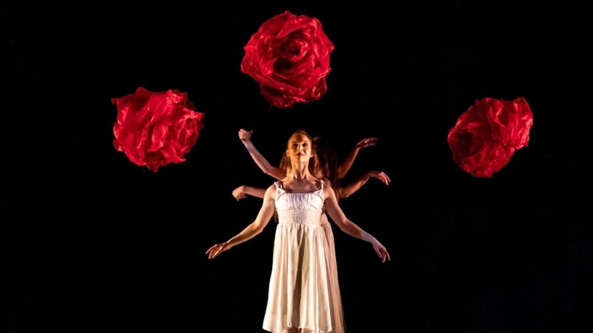 Momix - San Diego, 7 December | Event in San Diego | AllEvents