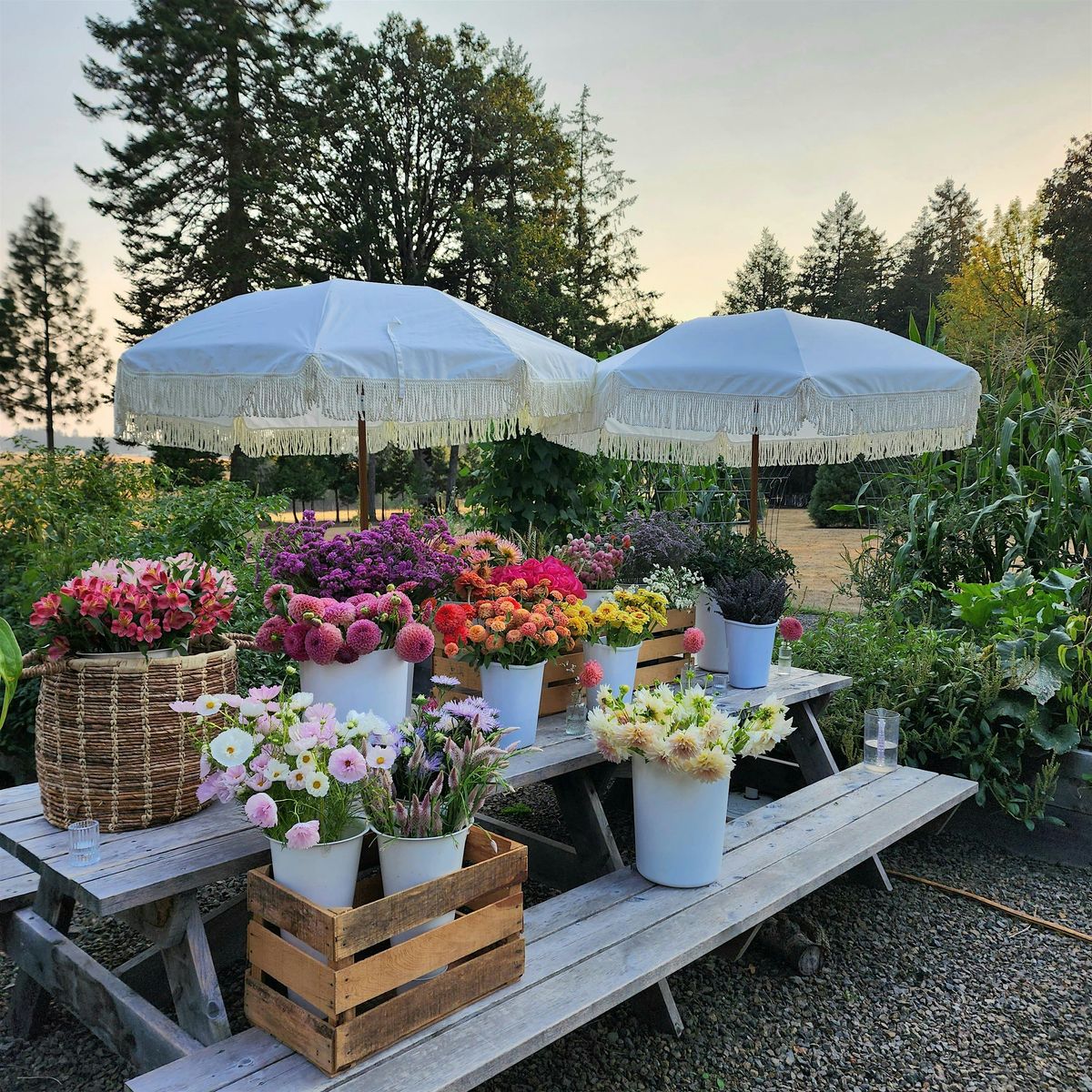 Floral Design Workshop at Swan Island Dahlias with Sunrise Hill Flowers, 9 August | Event in Canby | AllEvents