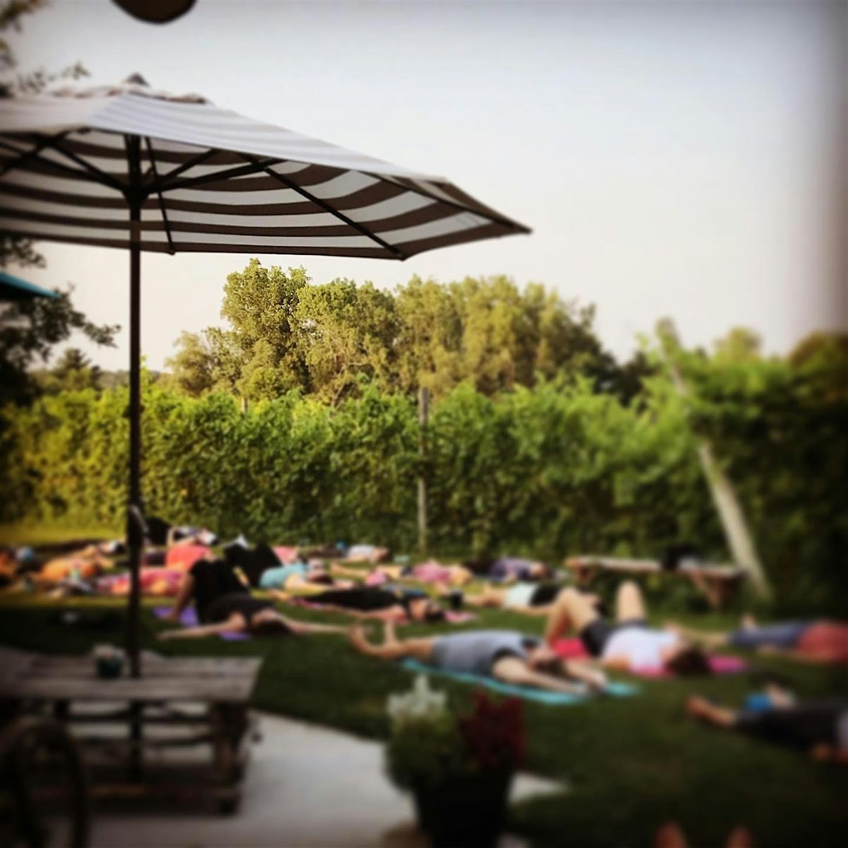 Bloom & Breathe: A Night of Yoga, Bouquets & Wine for a Cause II, 15 August | Event in Croswell | AllEvents